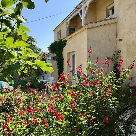 Maison Au Bord De L'etang De Thau- * Sete