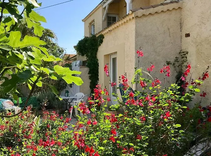Maison Au Bord De L'etang De Thau- * سُت